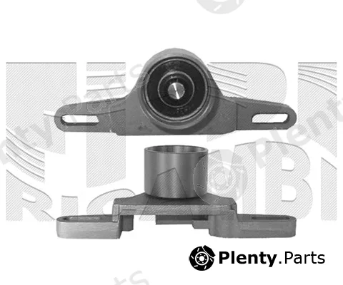 Caliber 46469 — Tensioner Pulley, timing belt