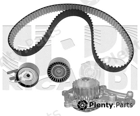 Caliber 0201KPW — Water Pump & Timing Belt Kit