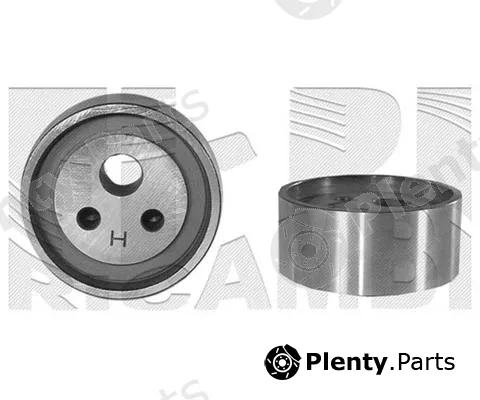 Caliber 06862 — Tensioner Pulley, timing belt