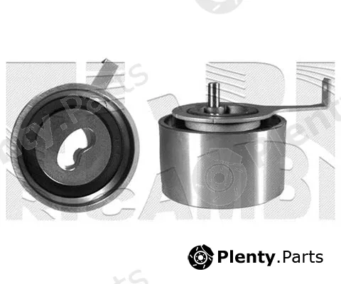 Caliber 00766 — Tensioner, timing belt
