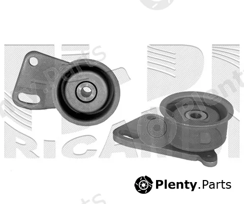 Caliber 46261 — Tensioner Pulley, timing belt