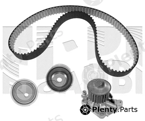Caliber 0407KMW — Water Pump & Timing Belt Kit