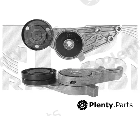 Caliber 36668 — Belt Tensioner, V-ribbed belt