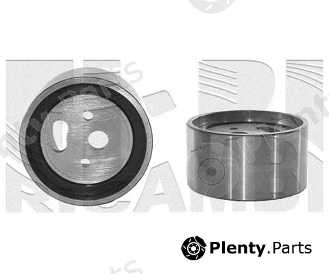 Caliber 06461 — Tensioner Pulley, timing belt