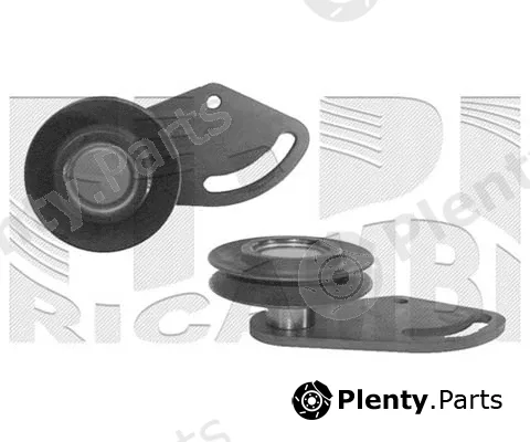 Caliber 06469 — Tensioner Pulley, V-belt