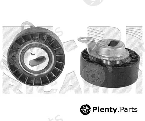 Caliber 16861 — Tensioner Pulley, timing belt