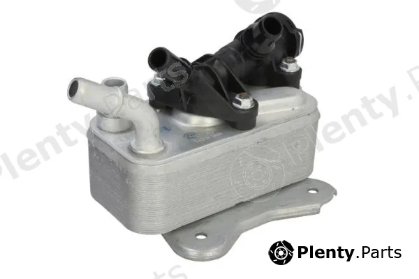 Thermotec D4B033TT — Oil Cooler, engine oil