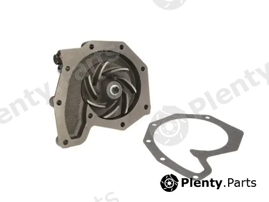 Thermotec WP-DF105 — Water Pump, engine cooling