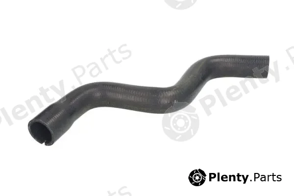 Thermotec DWF260TT — Radiator Hose