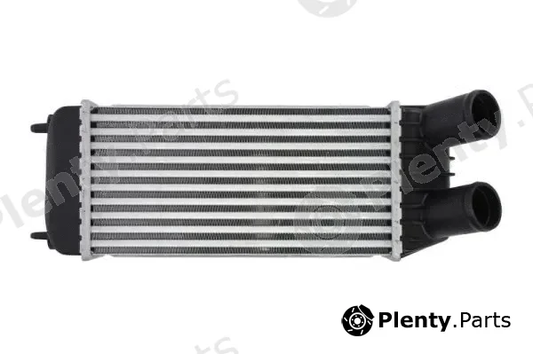 Thermotec DAP006TT — Charge Air Cooler