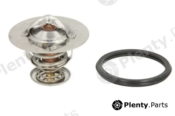 Thermotec D22002TT — Thermostat, coolant