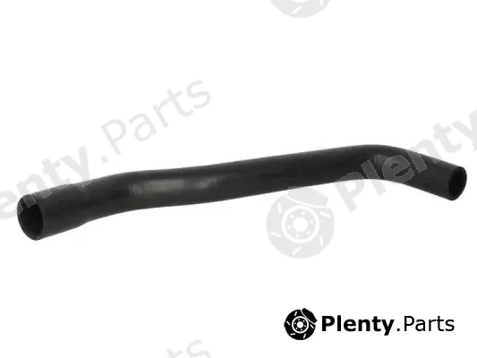 Thermotec DWF025TT — Radiator Hose