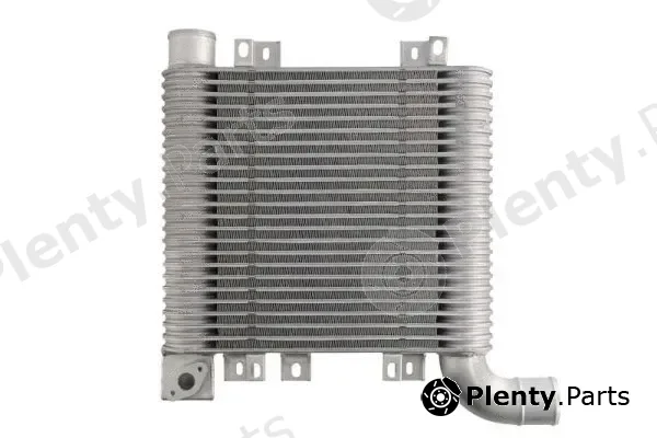 Thermotec DA05003TT — Charge Air Cooler