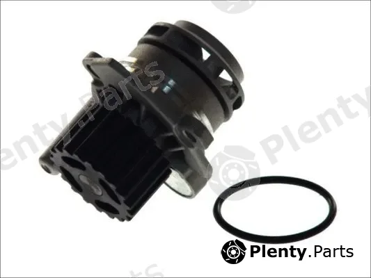 Thermotec D1W039TT — Water Pump, engine cooling