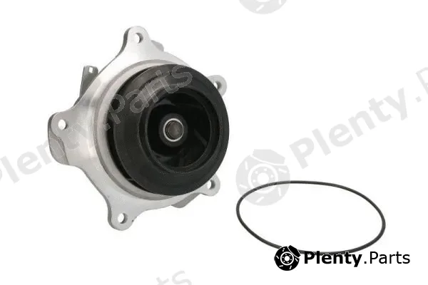Thermotec WP-DF125 — Water Pump, engine cooling
