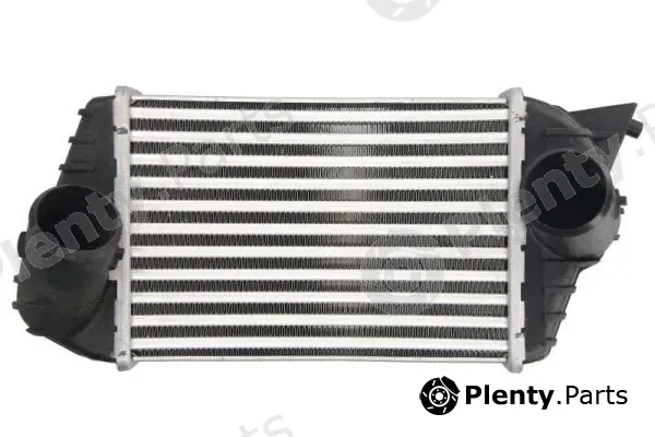 Thermotec DAF009TT — Charge Air Cooler
