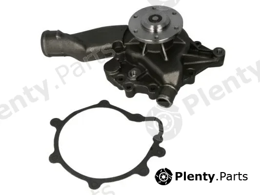 Thermotec WP-MN107 — Water Pump, engine cooling