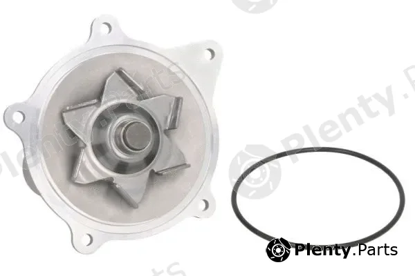 Thermotec D1Y004TT — Water Pump, engine cooling