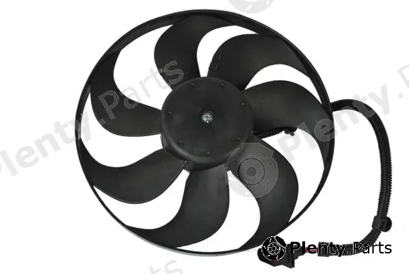 Thermotec D8W006TT — Electric Motor, radiator fan