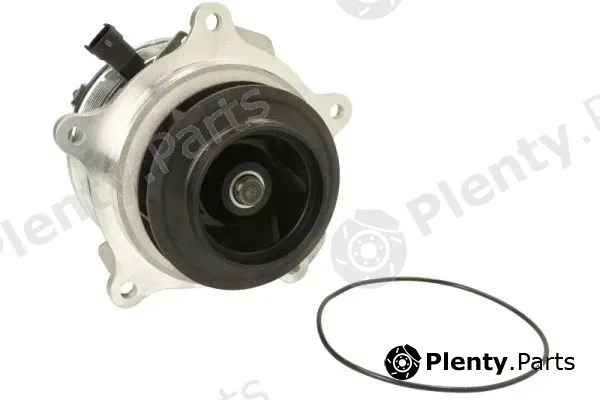 Thermotec WP-DF119 — Water Pump, engine cooling
