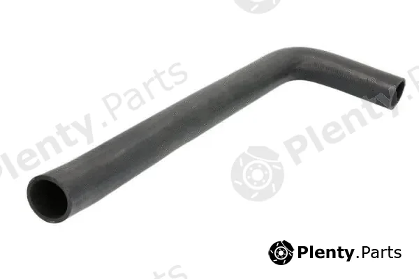 Thermotec DWF300TT — Radiator Hose
