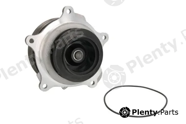 Thermotec WP-DF124 — Water Pump, engine cooling