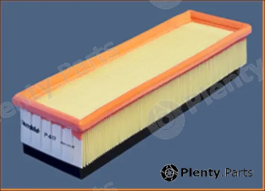 Misfat P407 — Air Filter