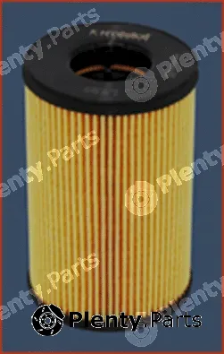 Misfat L120 — Oil Filter