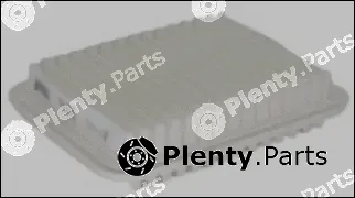 Misfat P668 — Air Filter