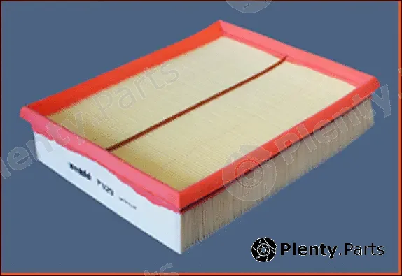 Misfat P029 — Air Filter