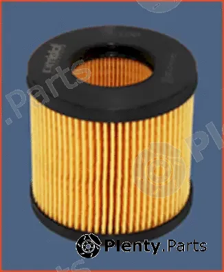 Misfat L100 — Oil Filter
