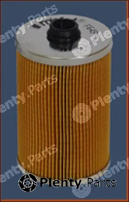 Misfat F645 — Fuel Filter