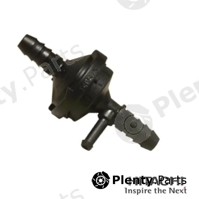 Hitachi 2509313 — Non-Return Valve