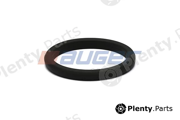 Auger 101839 — Shaft Seal, water pump shaft