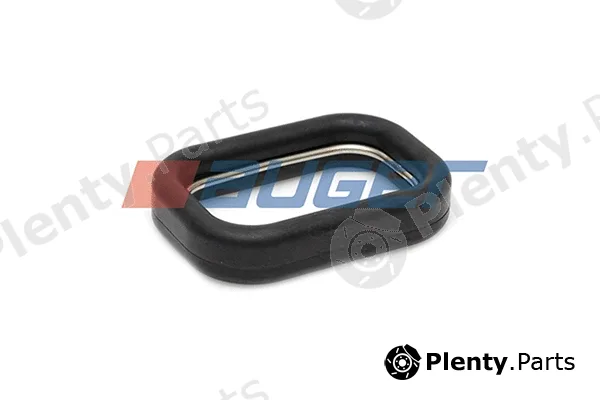 Auger 79170 — Gasket, water pump