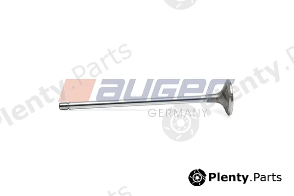 Auger 109294 — Intake Valve