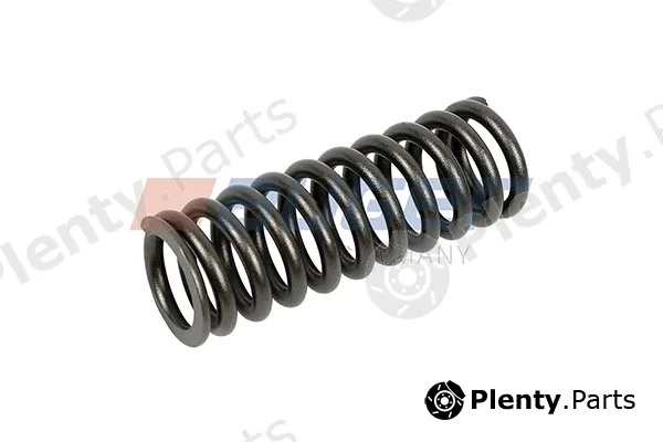 Auger 114560 — Valve Spring