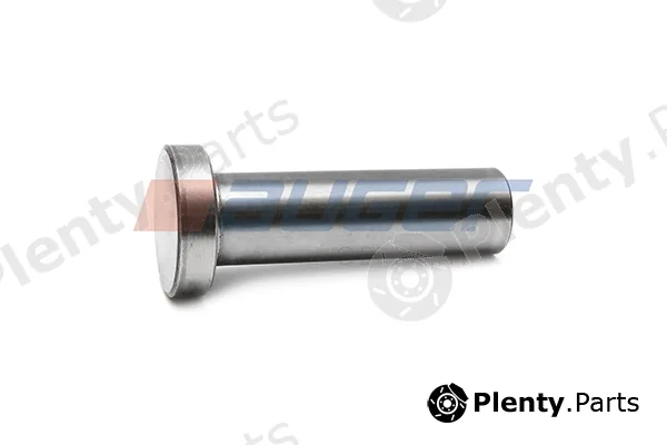 Auger 102911 — Tappet