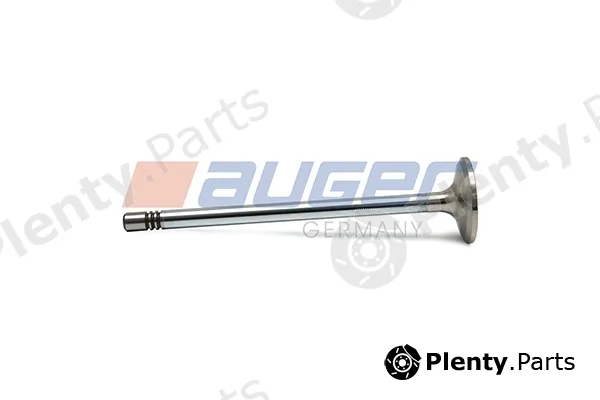 Auger 106431 — Intake Valve