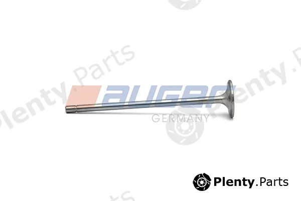 Auger 107224 — Intake Valve
