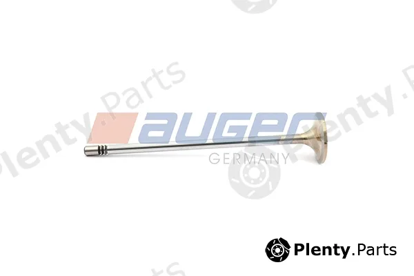 Auger 98714 — Intake Valve