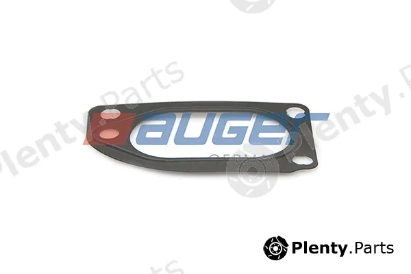 Auger 79196 — Seal, thermostat