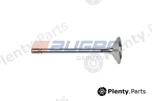 Auger 107177 — Intake Valve