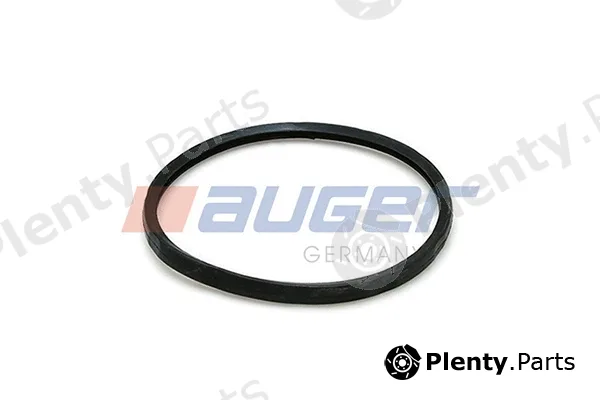 Auger 82343 — Seal, thermostat