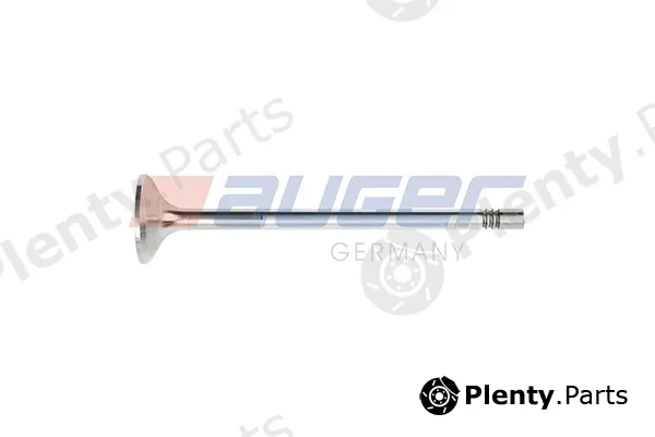 Auger 109223 — Intake Valve