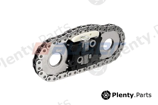 Auger 110911 — Timing Chain Kit