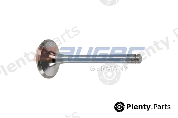 Auger 103103 — Intake Valve