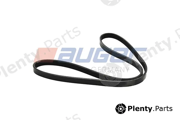Auger 80123 — V-Ribbed Belt