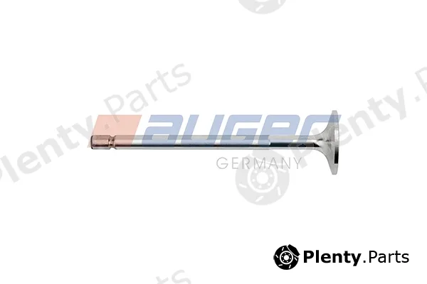 Auger 106494 — Intake Valve