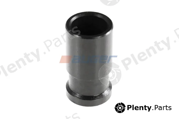 Auger 103117 — Bushing, oil pump